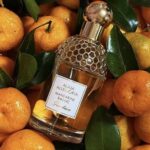 Guerlain Aqua Allegoria Harvest Mandarine Basilic
